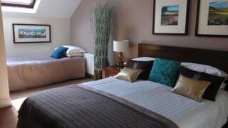 Отели типа «постель и завтрак» Ballinwillin House Митчелстаун Двухместный номер с 2 отдельными кроватями-2