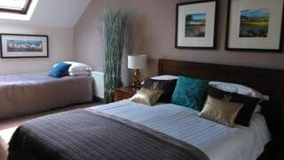 Отели типа «постель и завтрак» Ballinwillin House Митчелстаун Двухместный номер с 2 отдельными кроватями-3